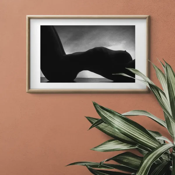 Silhouetto - Poster - Fine Art Nude - Ramexempel
