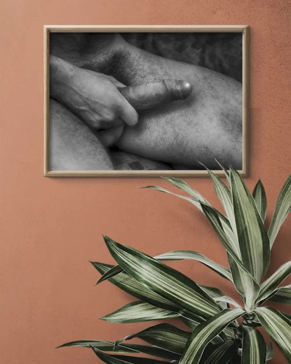Hairy And Hard With Foreskin - Poster - Fine Art Nude - Ramexempel