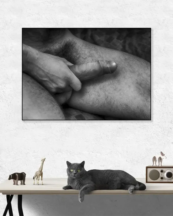 Hairy And Hard With Foreskin - Poster - Fine Art Nude - Ramexempel