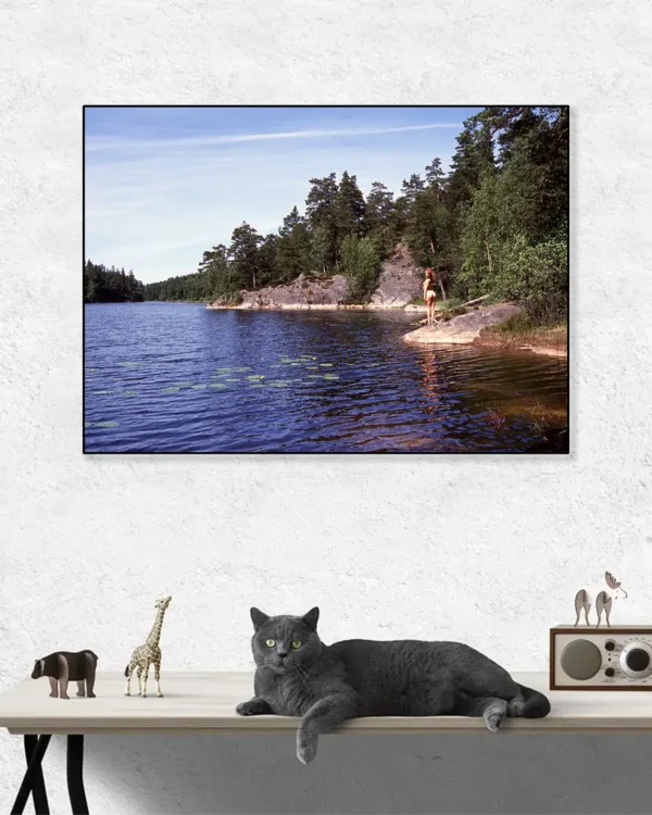 Nakenbad vid sjön – Poster - Poster - Fine Art Nude - Ramexempel