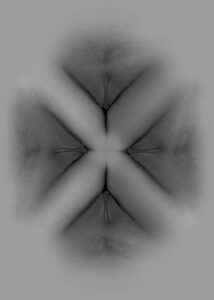 Fyrklöver - Poster - Abstrakt erotisk konst - Ett abstrakt bildmontage i svartvitt av fyra ansade kvinnliga kön i form av en fyrklöver.